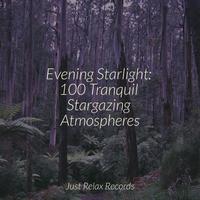 Evening Starlight: 100 Tranquil Stargazing Atmospheres