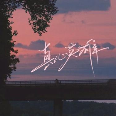 真心英雄  (R&B版) (Cover 成龙 & 周华健 & 李宗盛)封面