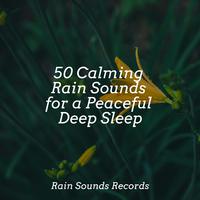 50 Calming Rain Sounds for a Peaceful Deep Sleep