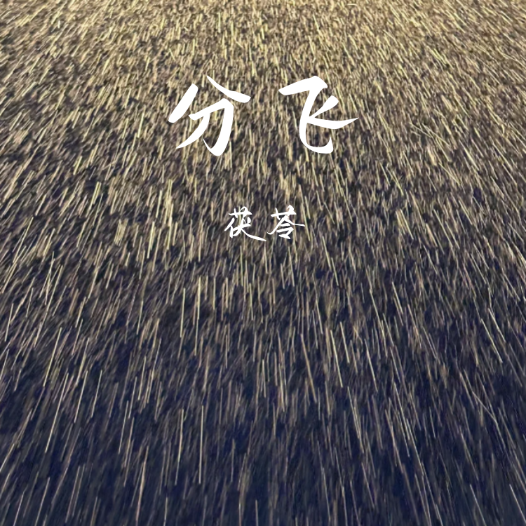 分飞