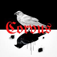 CORVUS