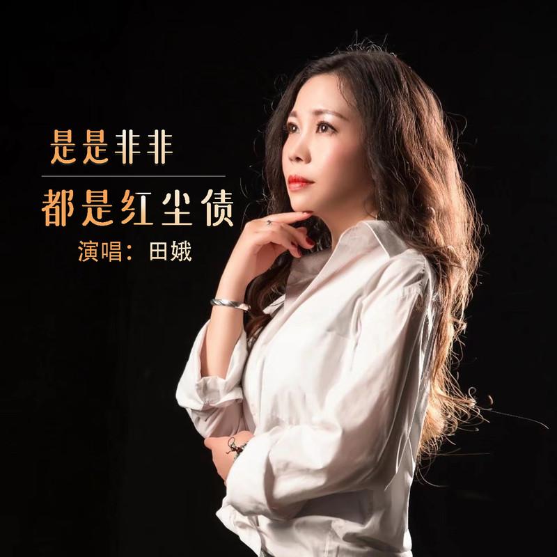是是非非都是红尘债封面