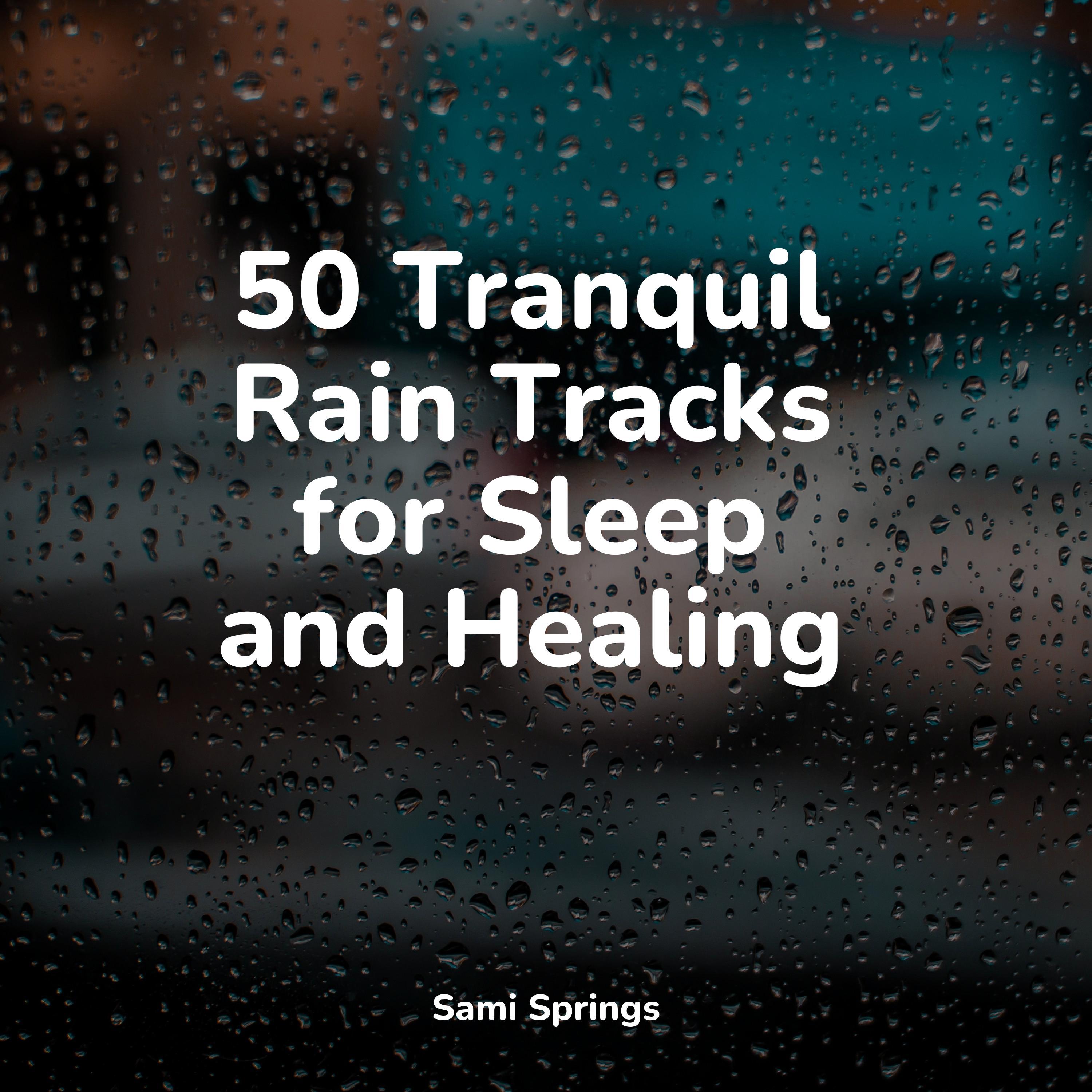 50 Tranquil Rain Tracks For Sleep And Healing Ambiente 专辑 网易云音乐