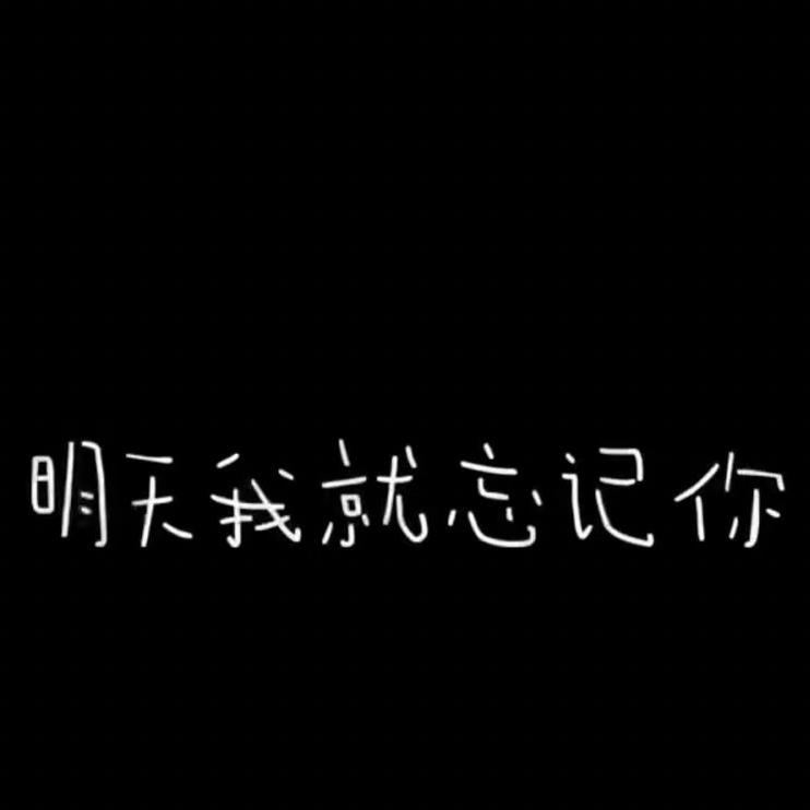 北斗星的爱(Butterflies) - Rist·Z封面