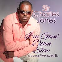 I'm Going Down Slow (feat. Wendell B)