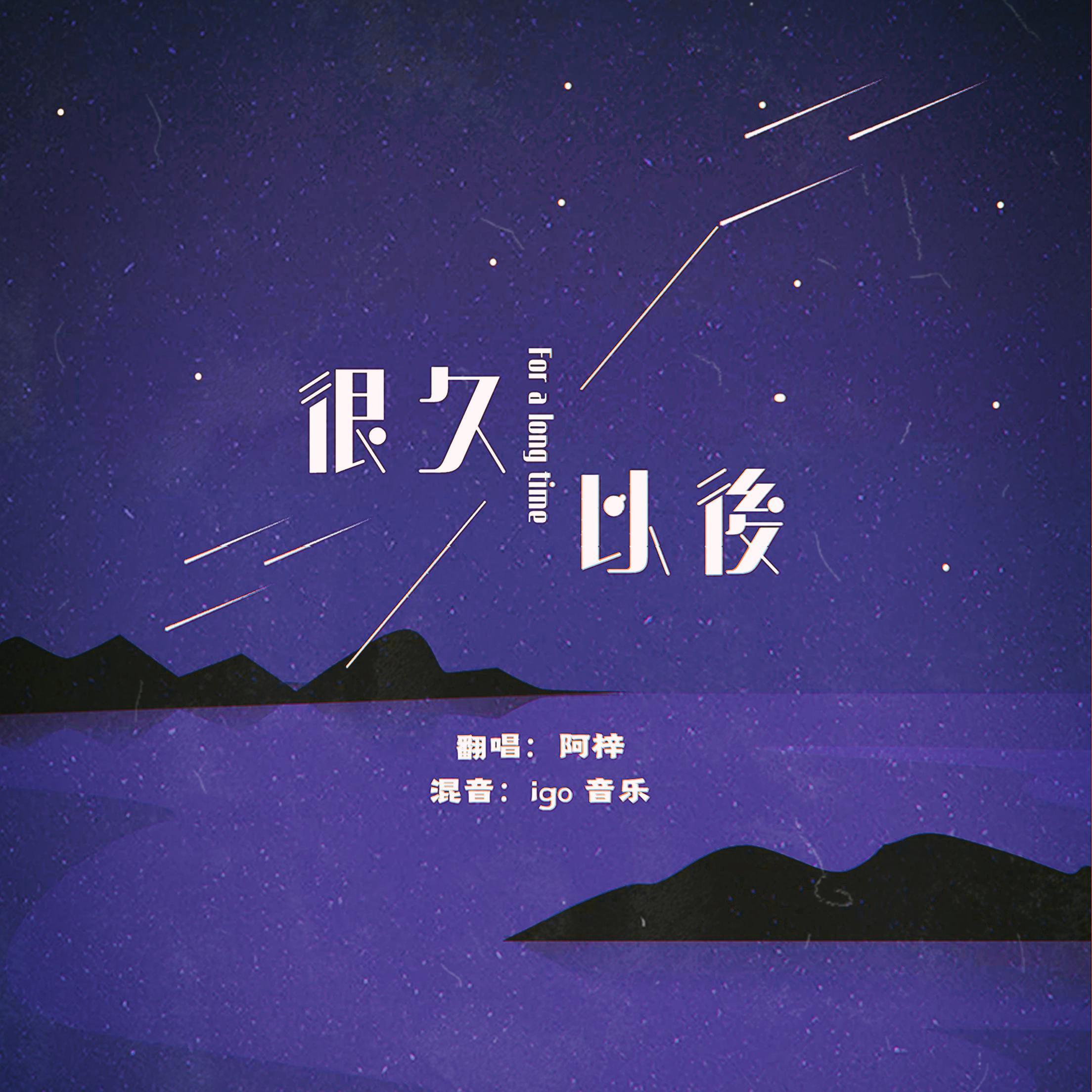 很久以后封面