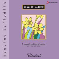 Song Of Nature - Dancing Daffodils