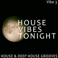 House Vibes Tonight - Vibe.3