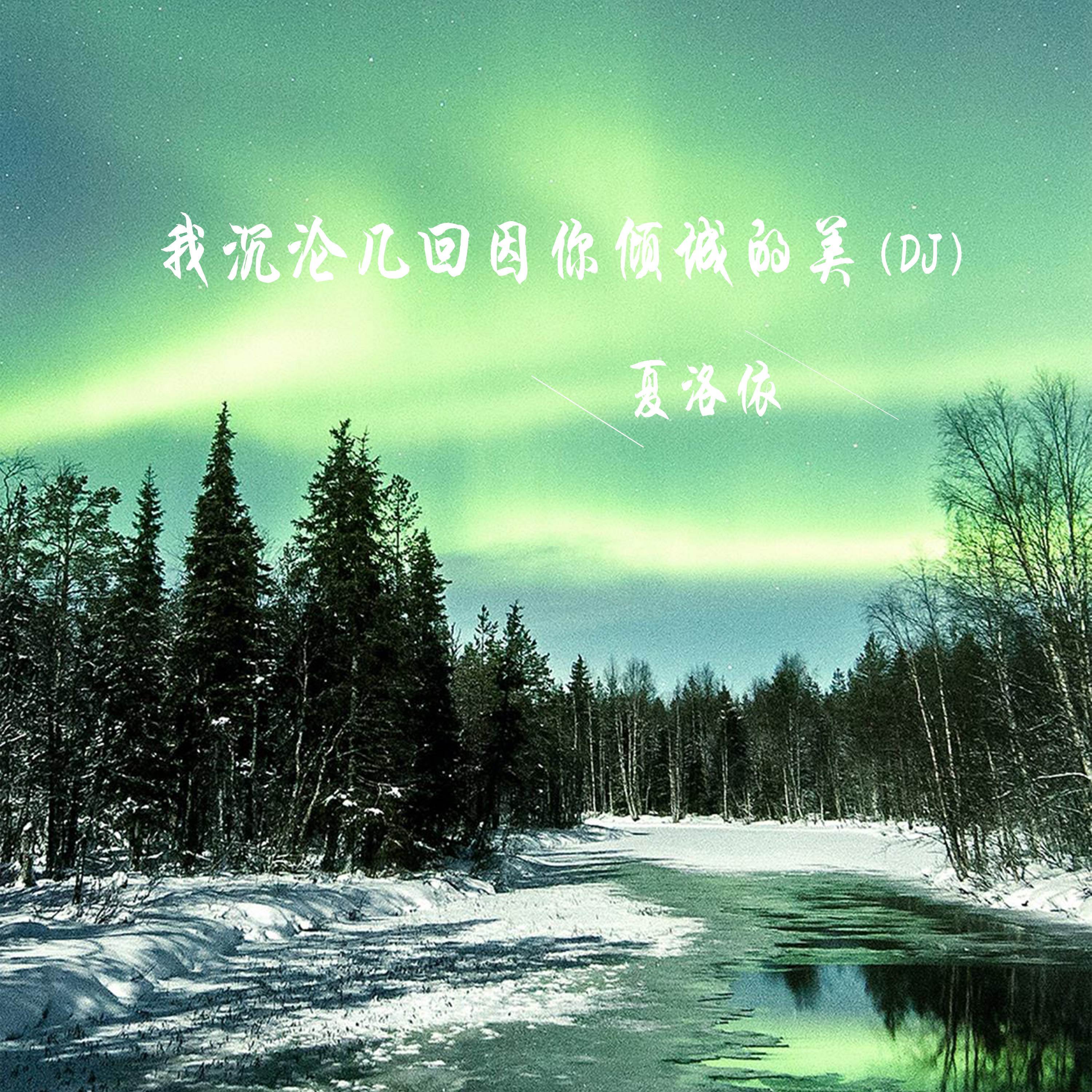 我沉沦几回因你倾城的美 (DJ版)封面