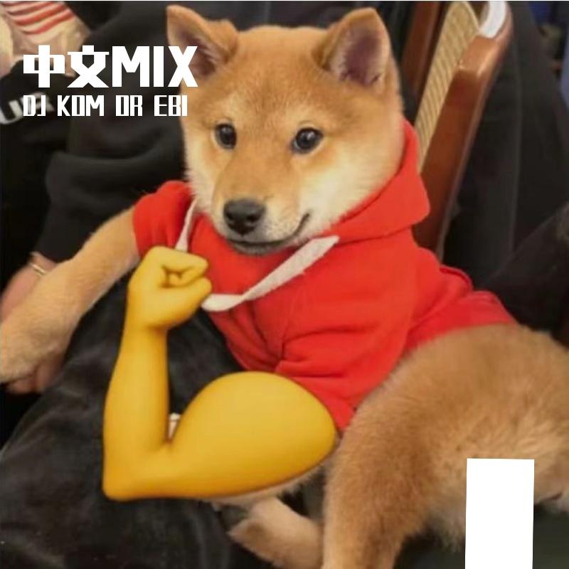 -起风了-周深（DJ KOM OR EBI remix）封面