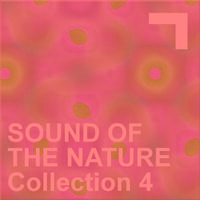 Sound Of The Nature – Collection 4