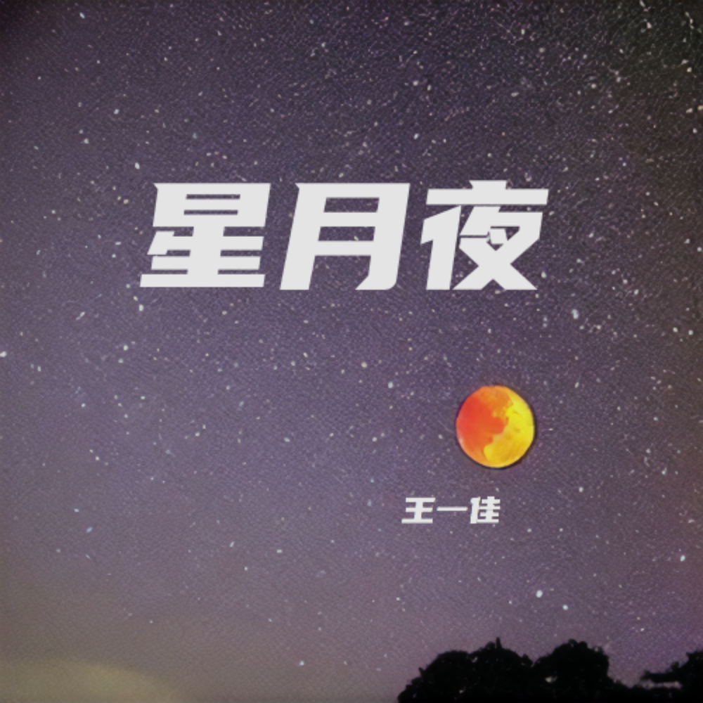 星月夜封面