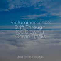 Bioluminescence: Drift Through 100 Glowing Ocean Tracks