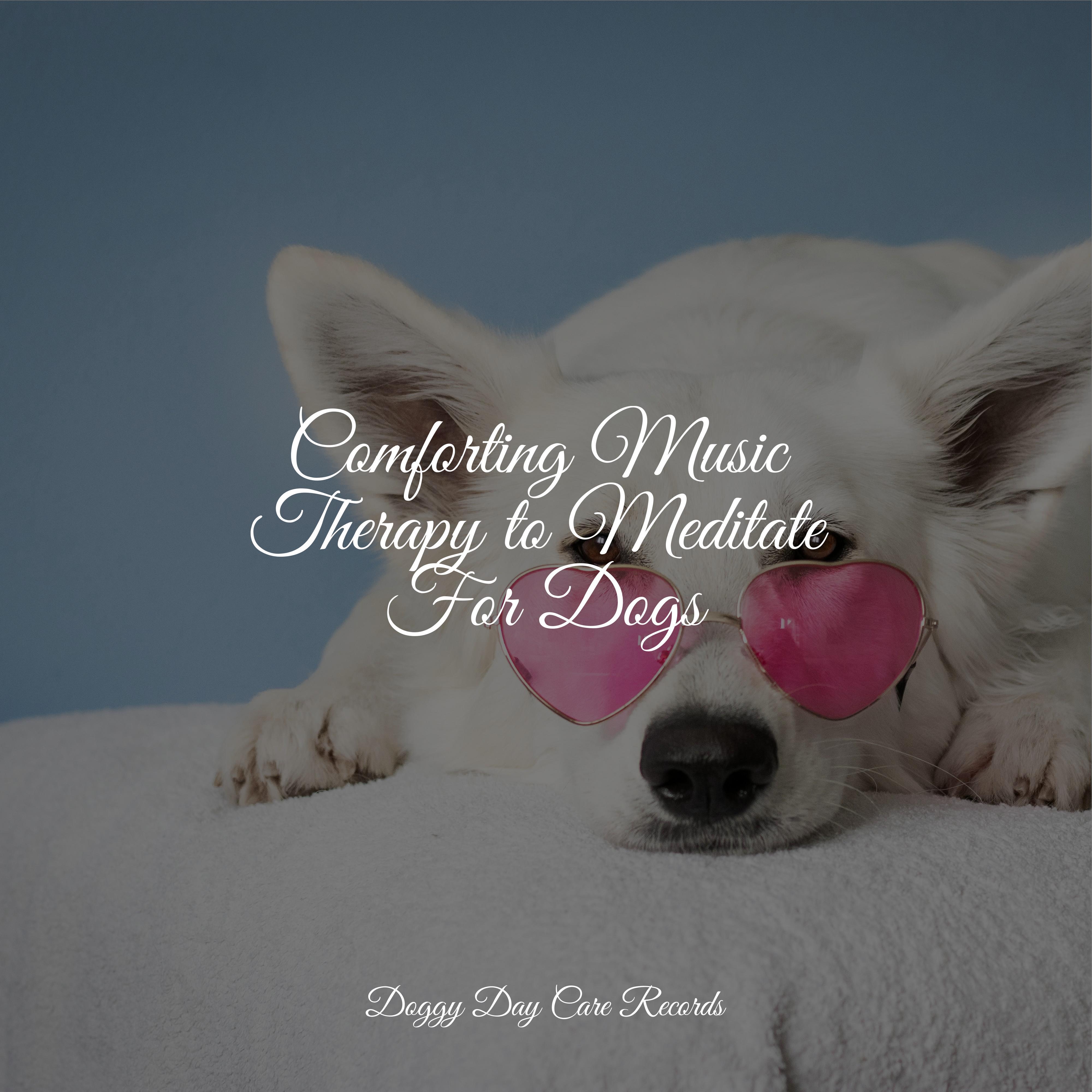 Comforting Music Therapy To Meditate For Dogs - Music For Dogs ...