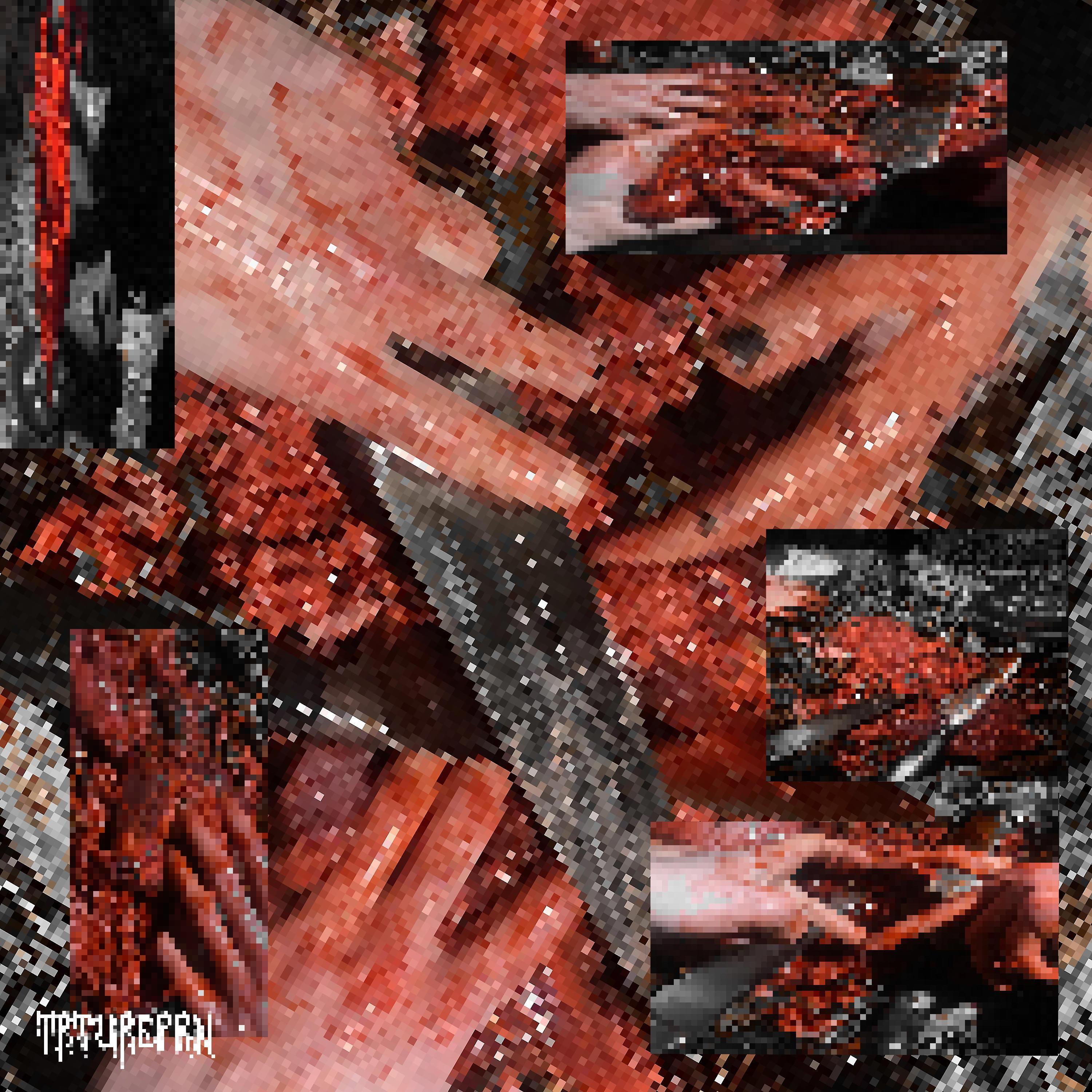 SUCK MY ARTERIES (feat. 717na, spxxky & N3VERGL4D)_trtureprn_trtureprn 001 | 在线播放_SUCK MY ARTERIES (feat. 717na, spxxky & N3VERGL4D)歌词_SUCK MY ARTERIES (feat. 717na, spxxky & N3VERGL4D)下载 | 网易云音乐