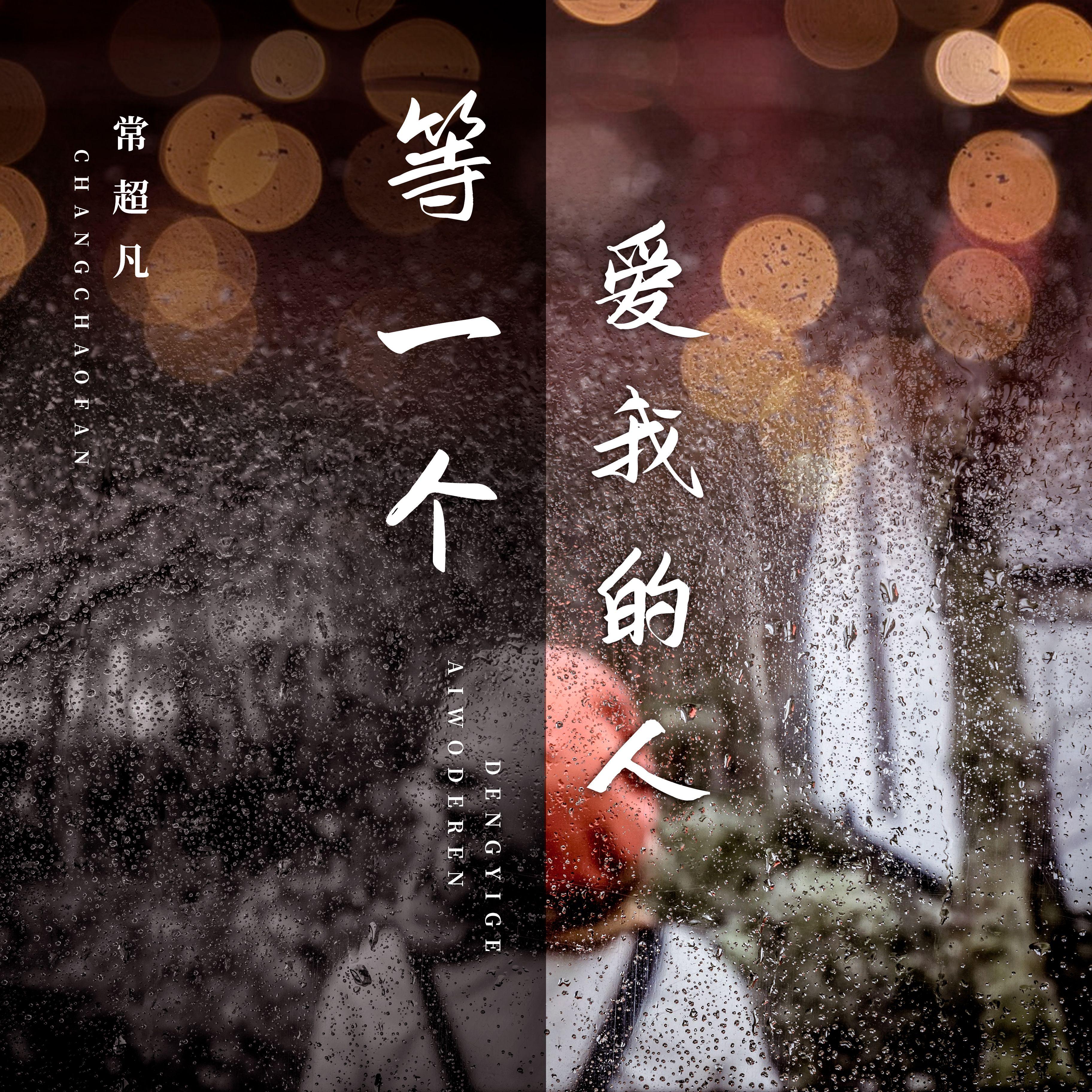 等一个爱我的人封面