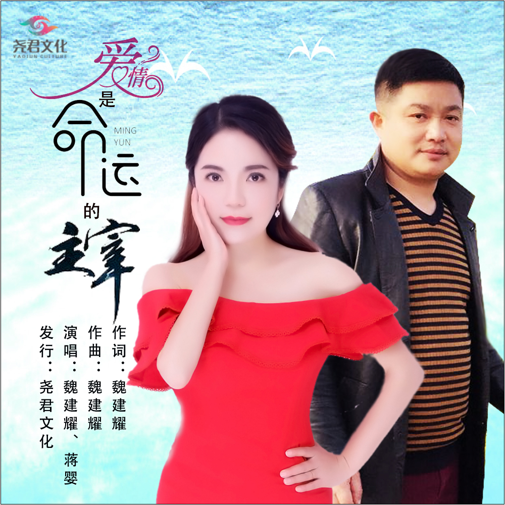 爱情是命运的主宰 (伴奏) - 魏建耀、蒋婴封面