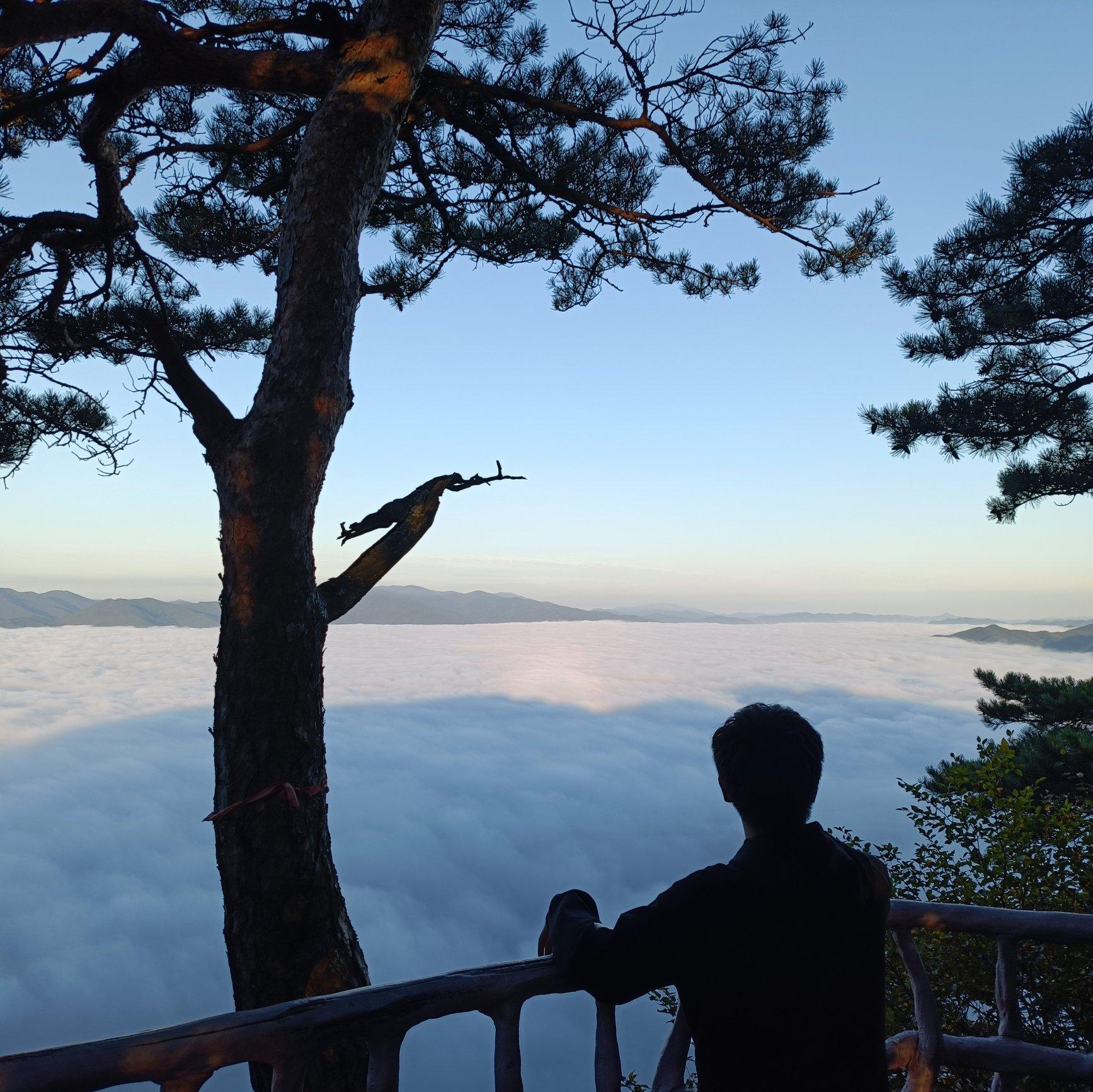 掌心的纹封面