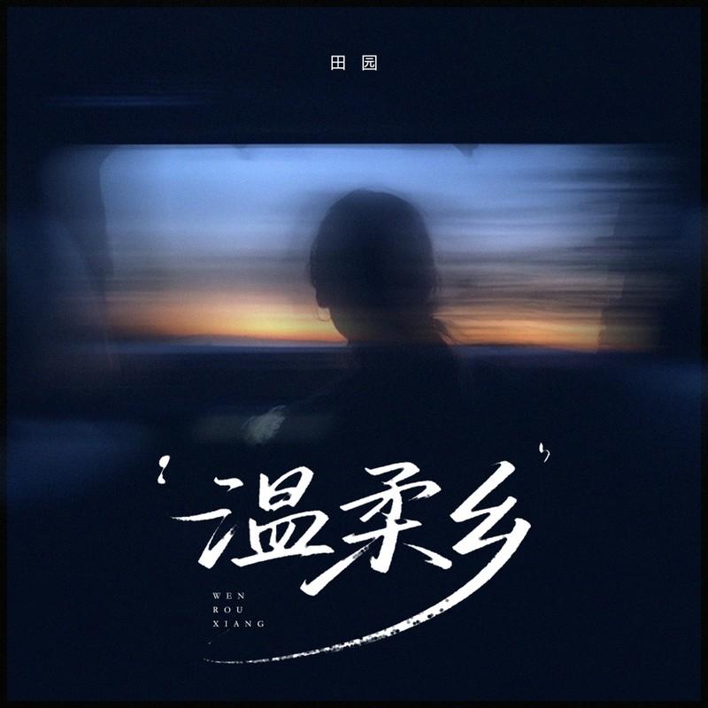 温柔乡 (DJ豪大大版)封面