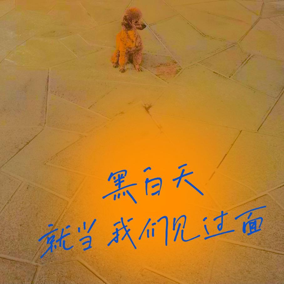 黑白天封面