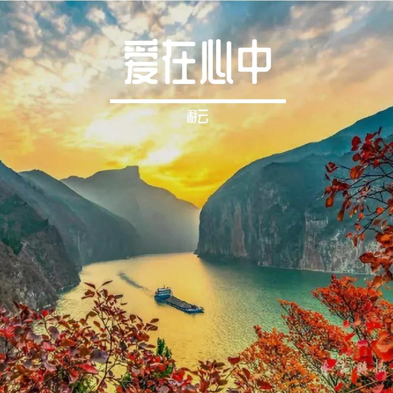 心上的罗加封面