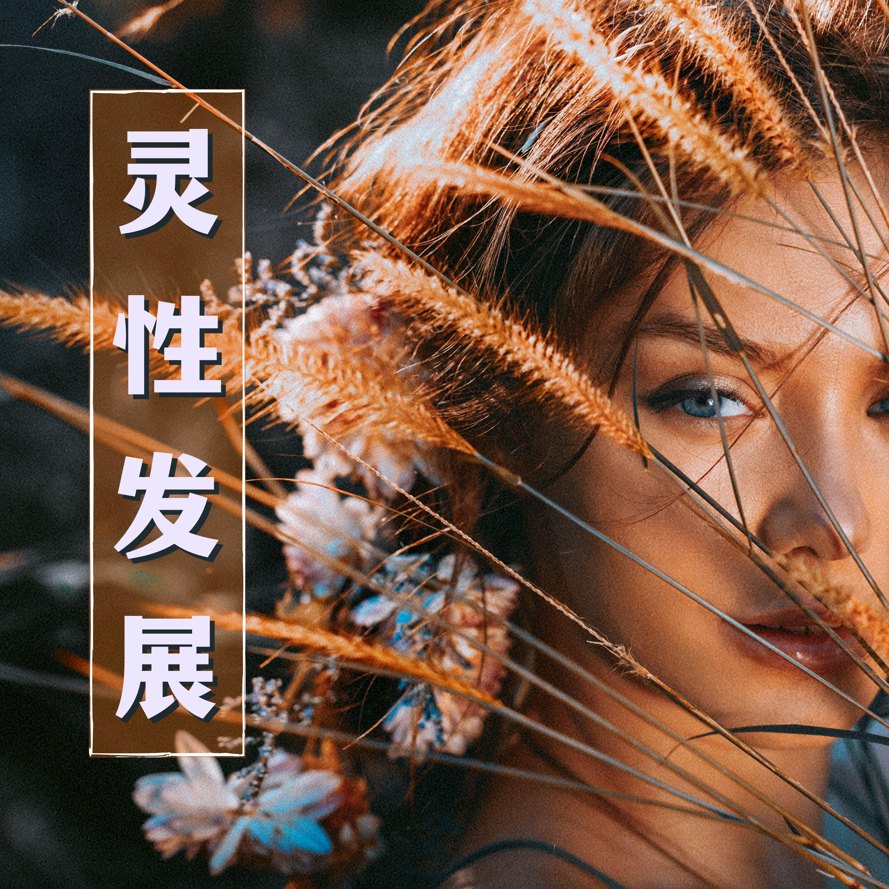 睡眠周期封面