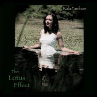 The Lotus Effect