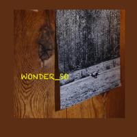 WONDER_SO