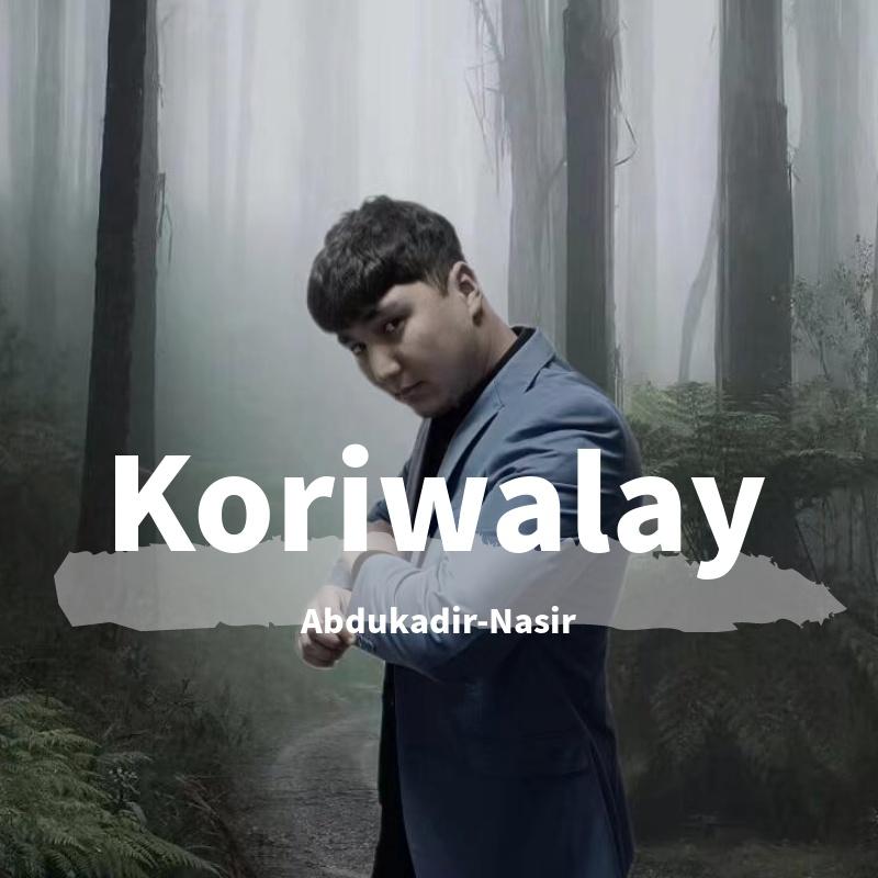 Ayrilix Minutliri同学