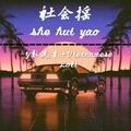 社会摇第三季 (DJ版)封面