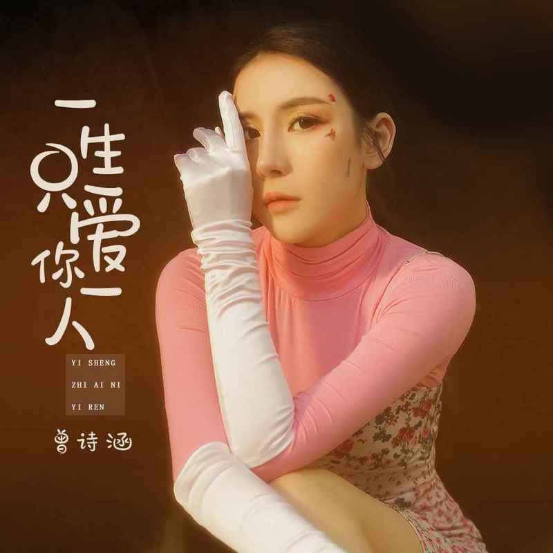 一生只爱你一人封面