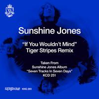 If You Wouldn't Mind (Tiger Stripes Remixes)