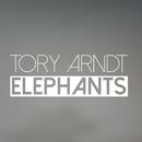 Tory Arndt