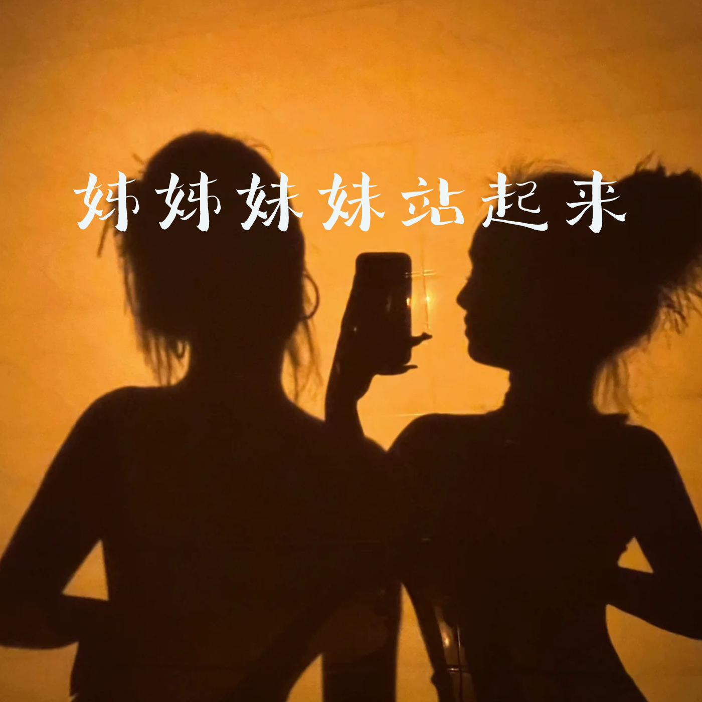 姊姊妹妹站起来封面