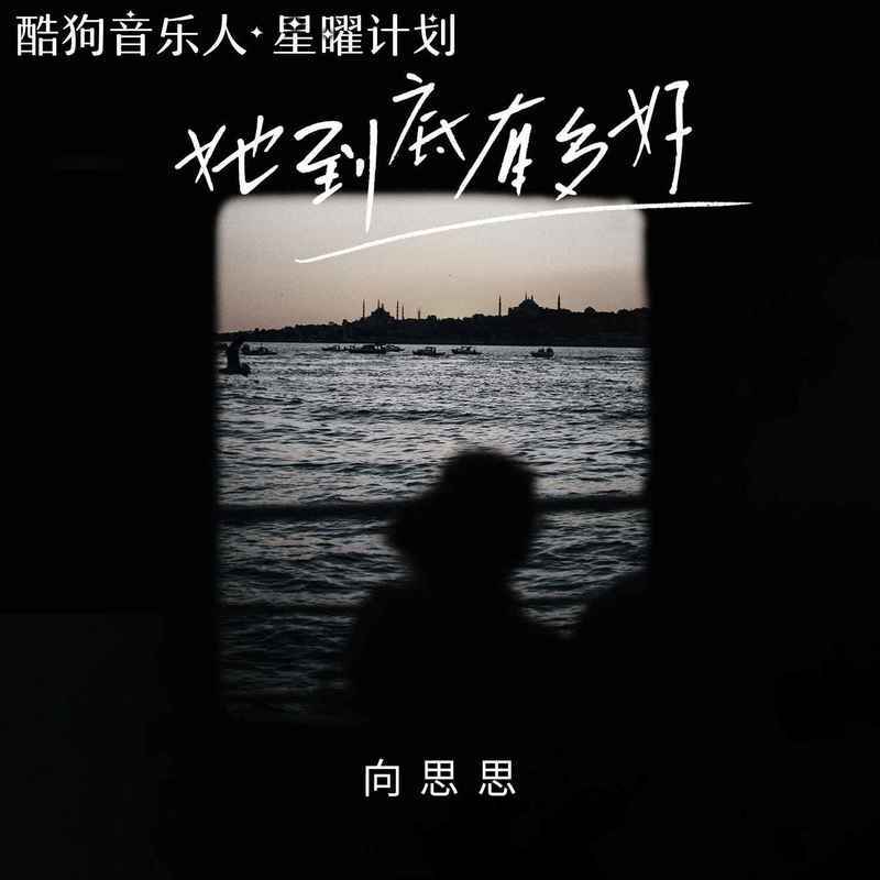 她到底有多好 (伴奏)封面