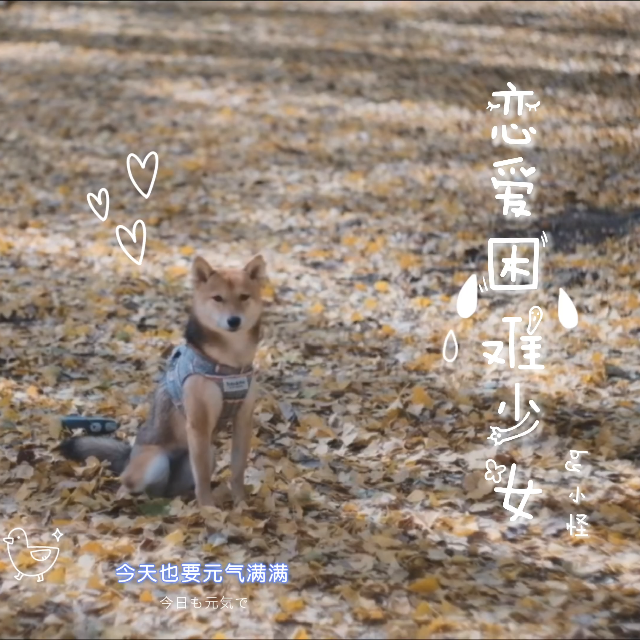 恋爱困难少女（不够甜也不够盐）