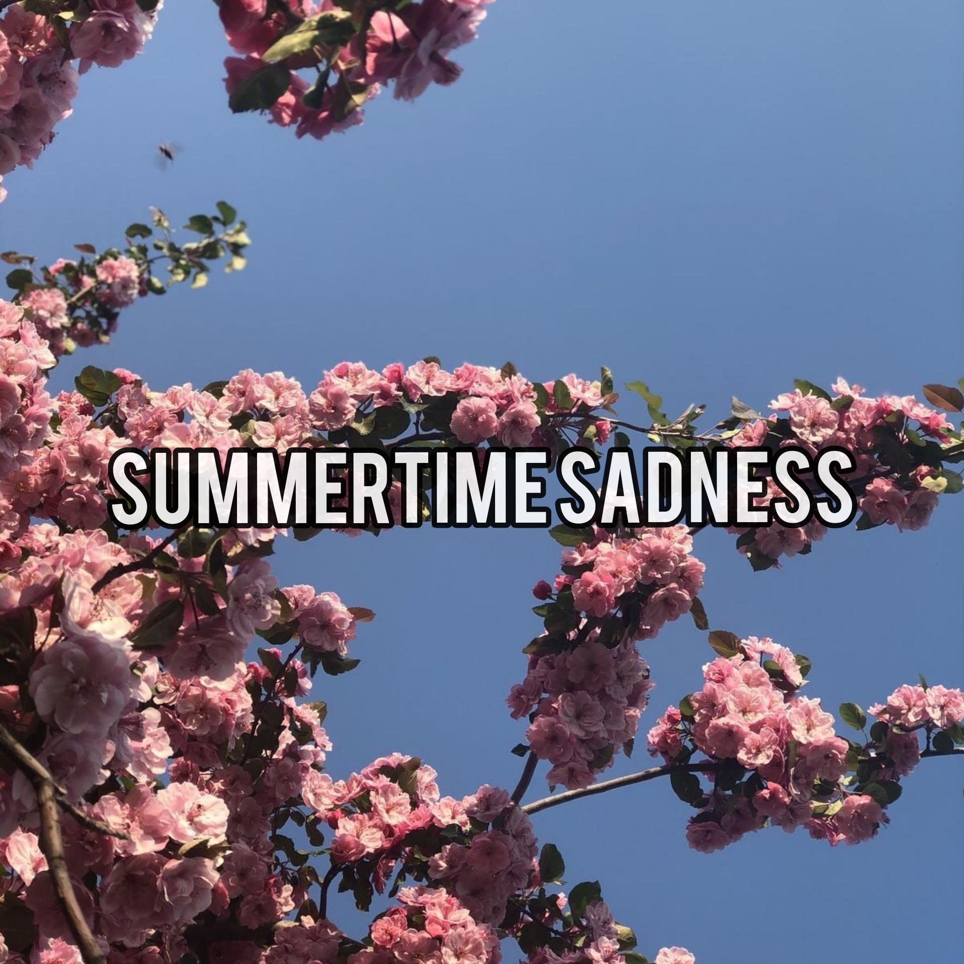 Lana Del Rey-Summertime Sadness (GALABRO Remix)