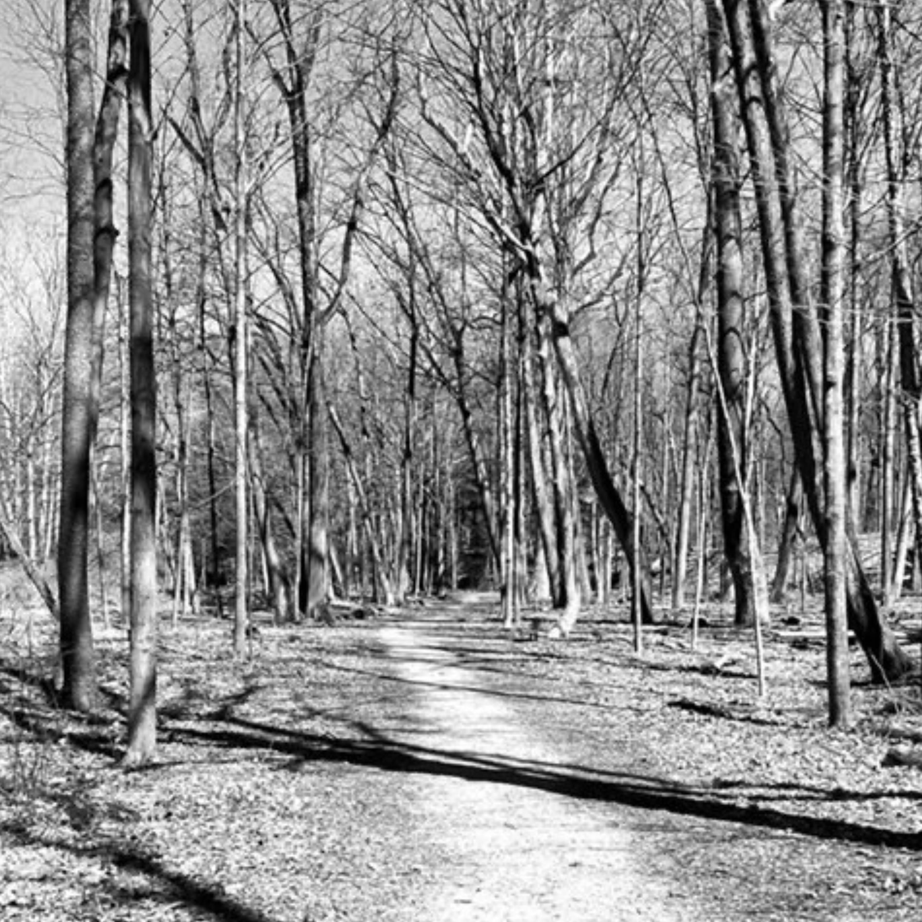 Like No Other Woman Can (feat. Darryl Jones)