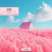 Stay