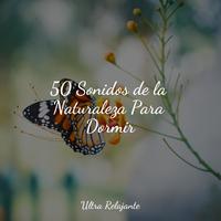 50 Sonidos de la Naturaleza Para Dormir