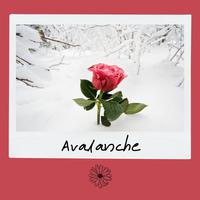 Avalanche