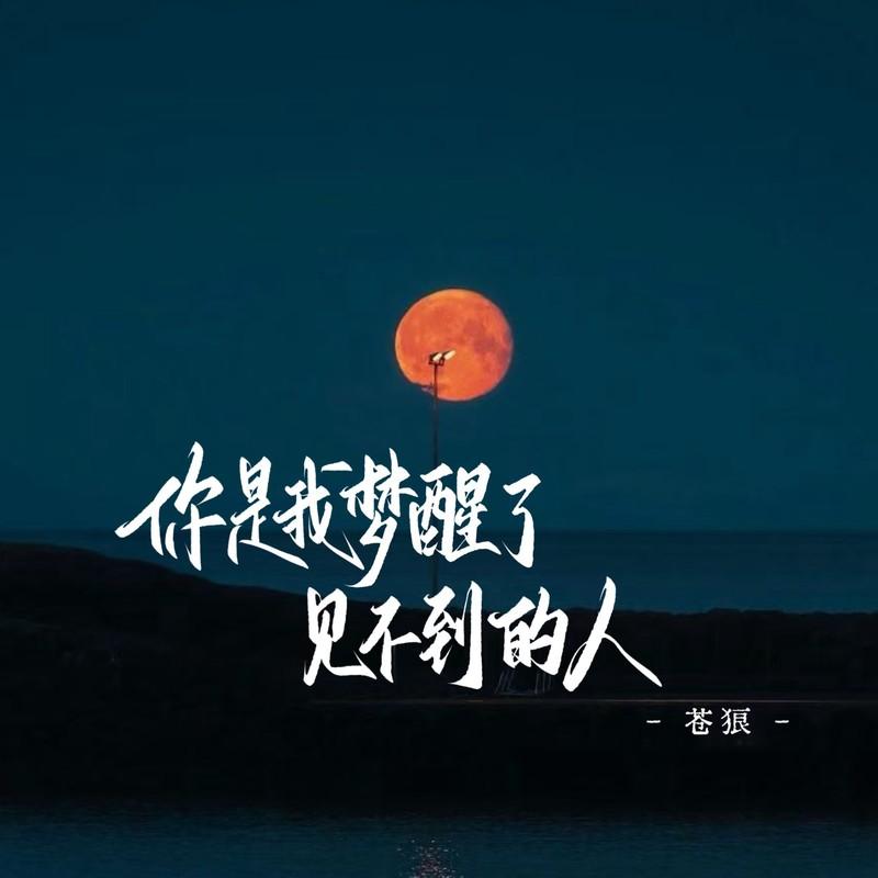 你是我梦醒了见不到的人封面