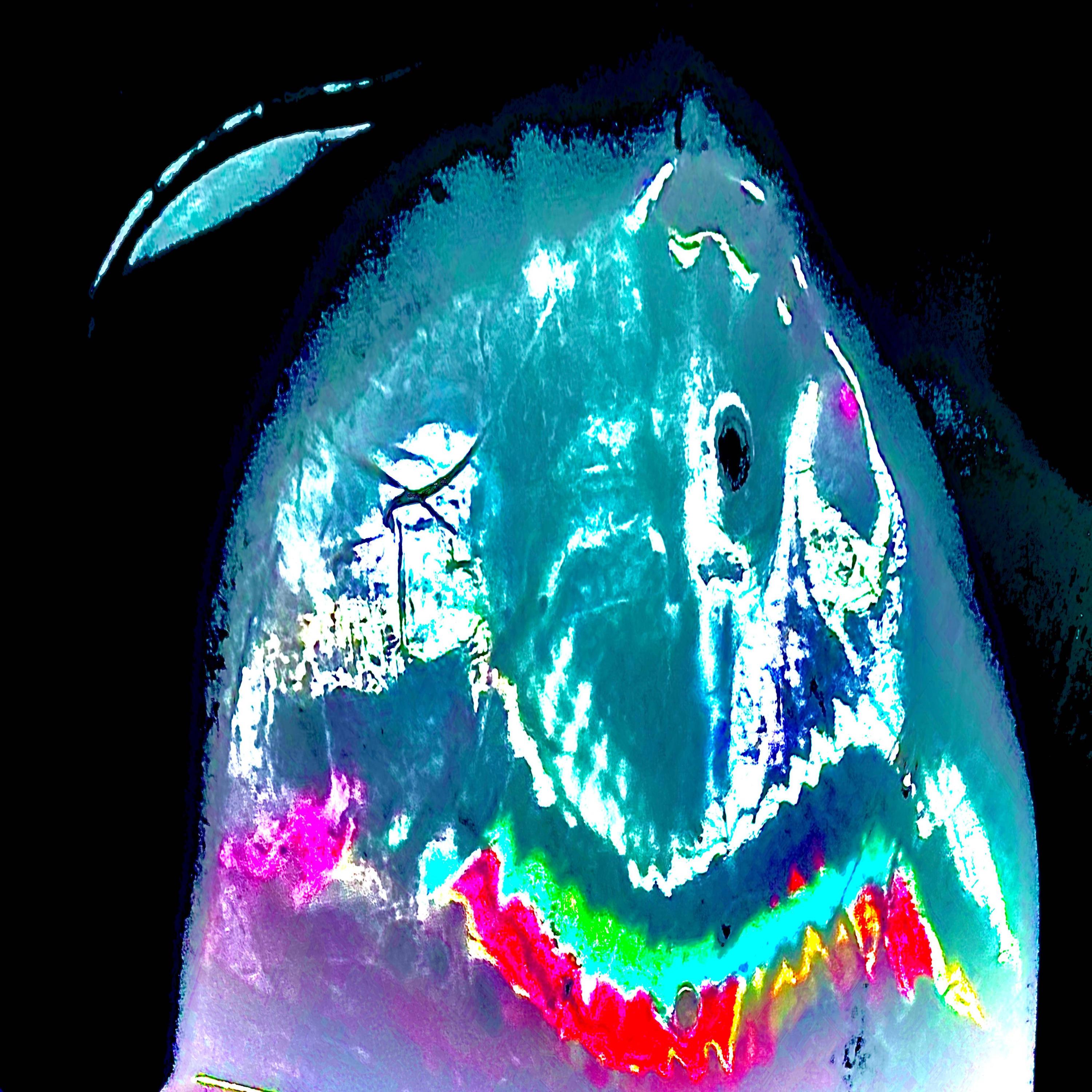 Conquer Justin Parker 单曲 网易云音乐