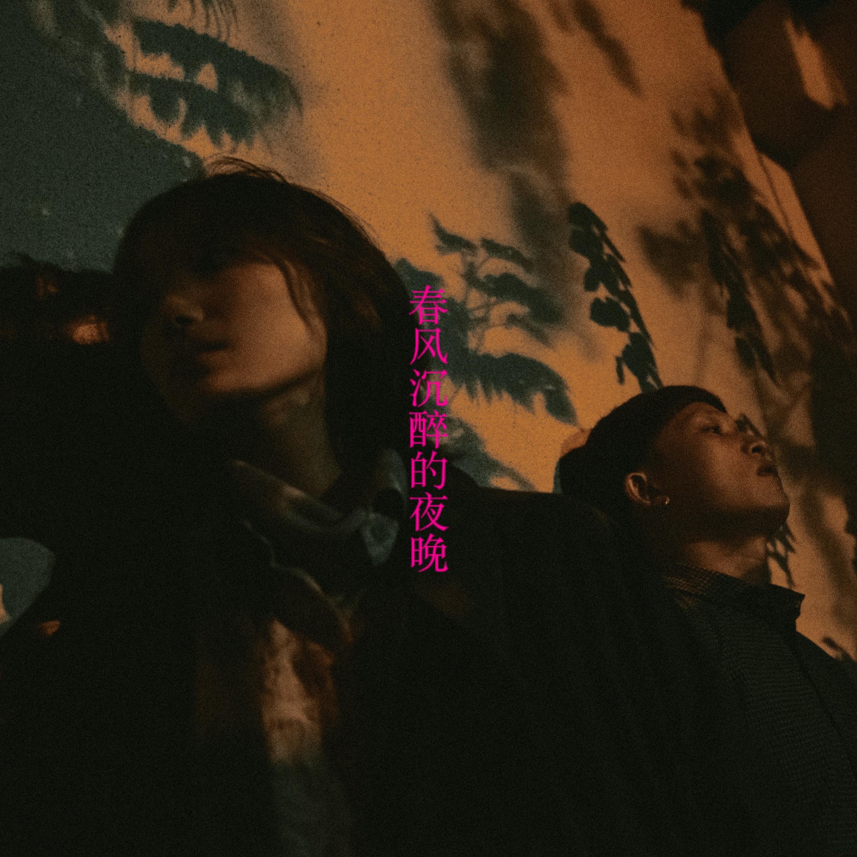 春风沉醉的夜晚封面