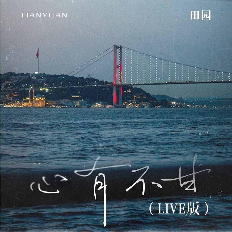 心有不甘 (Live)封面