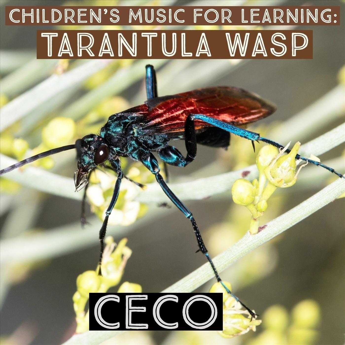 Children's Music for Learning: Tarantula Wasp