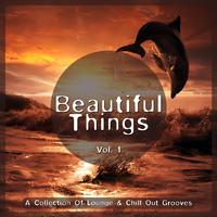 Beautiful Things, Vol. 1 (A Collection of Lounge & Chill Out Grooves)