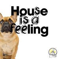 House Is a Feeling