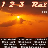 123 Raï, Vol 1 of 3