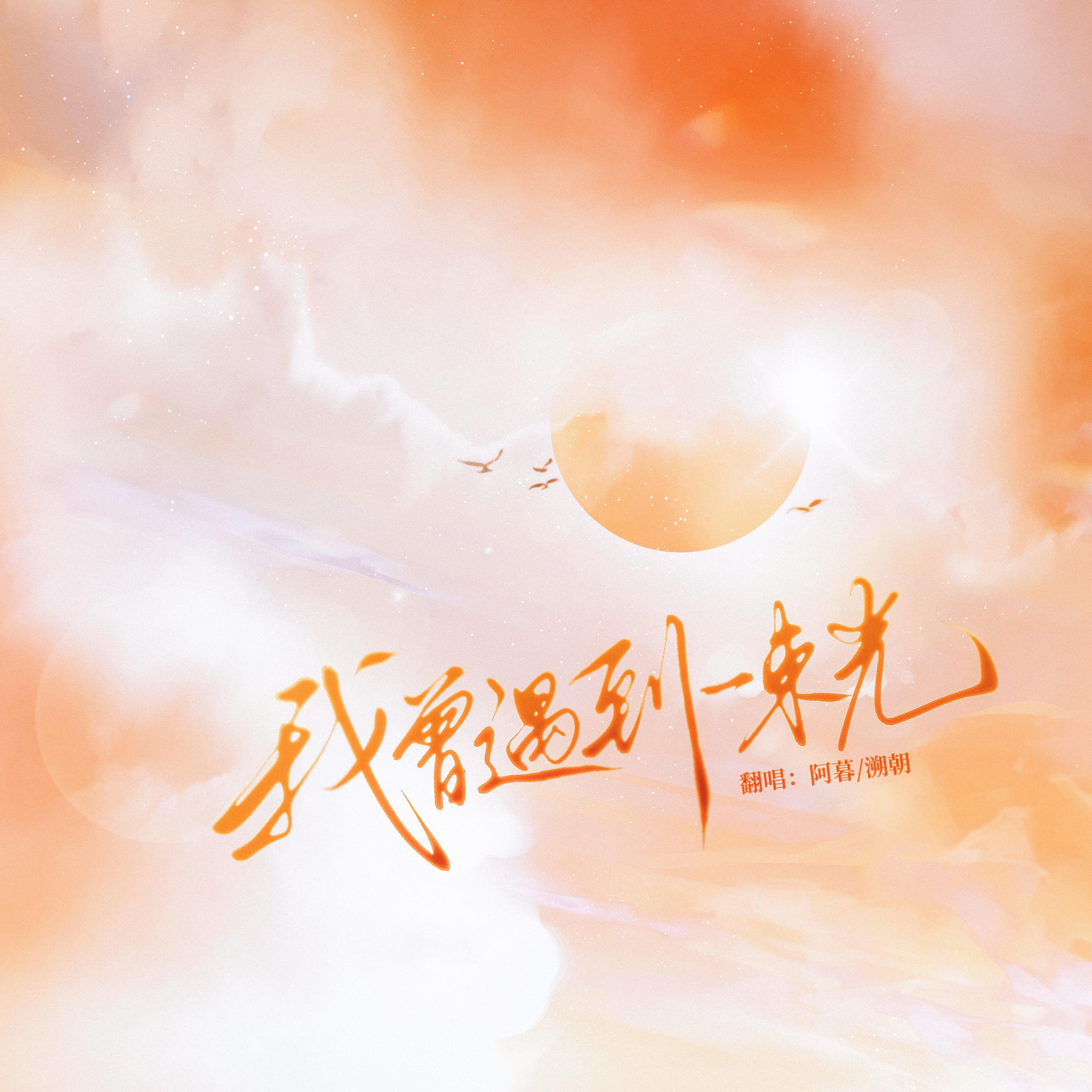 我曾遇到一束光